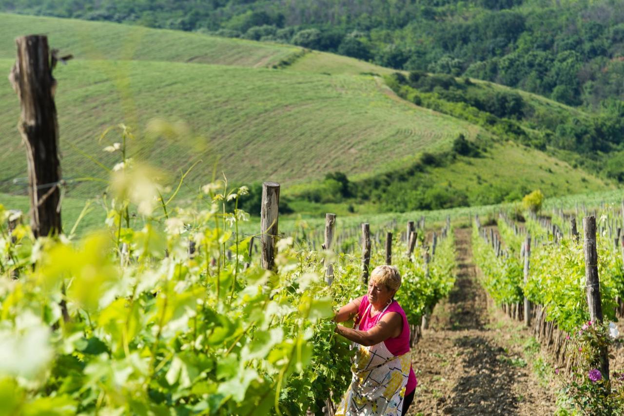 Seven Generations Winery Hotel Mechka Ngoại thất bức ảnh